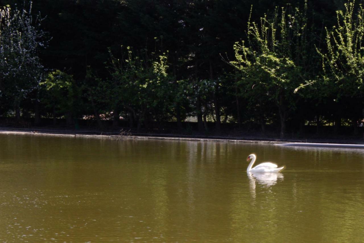 Casa Do Lago Amares Εξωτερικό φωτογραφία